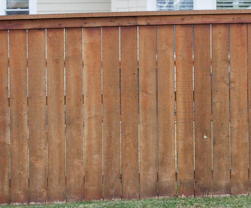 cedar fence